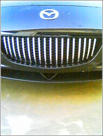 31383779077_468_1.jpg