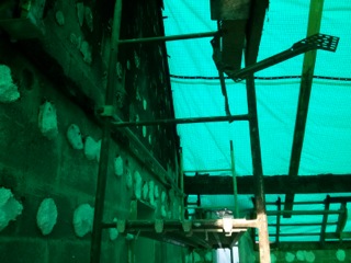 Reconstruction12.jpg