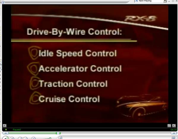 cruise.jpg