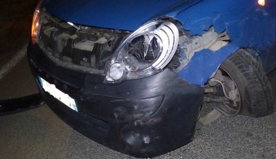 kangoo.jpg