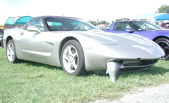 corvette_fish.jpg