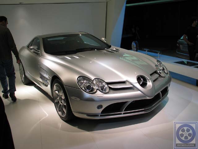 SLR GRIS2.jpg