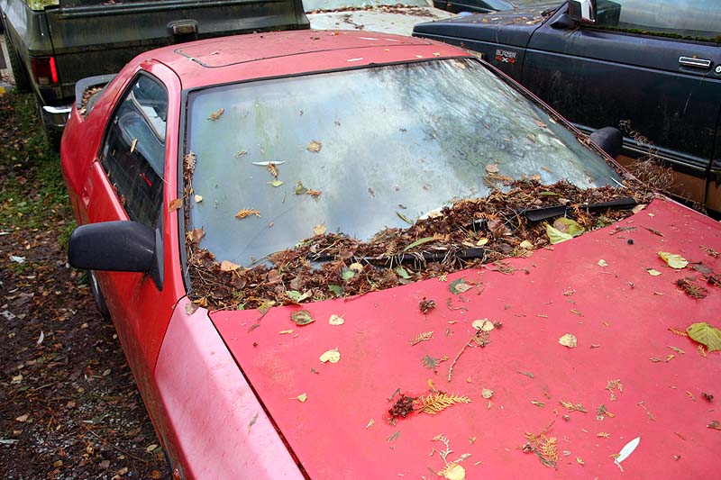 RX7_A_03.jpg