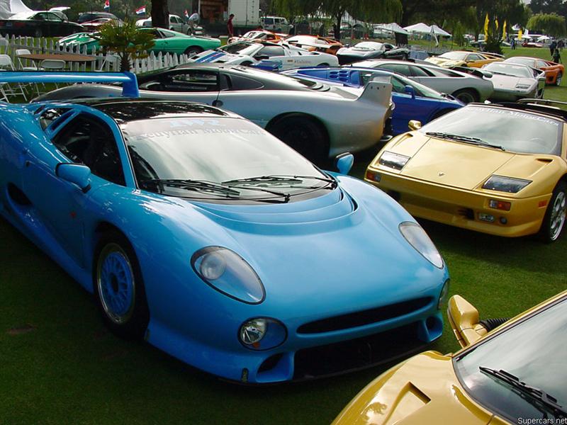 jaguars (Medium).jpg