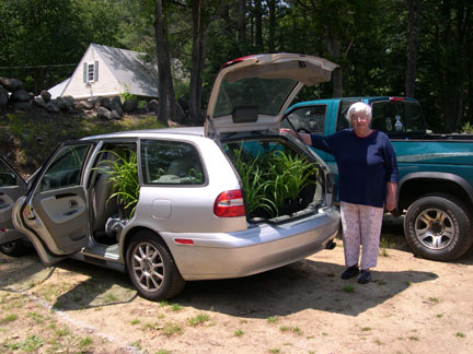 plants.jpg