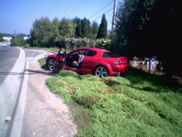 Picture31.jpg