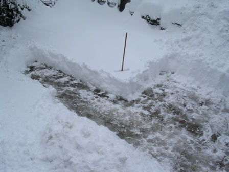 DSCN2281.JPG