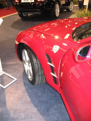 IMG_0310_redimensionner.JPG