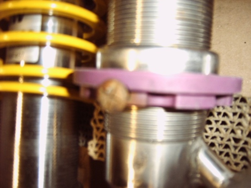 IMG00113.JPG