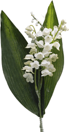 muguet.gif