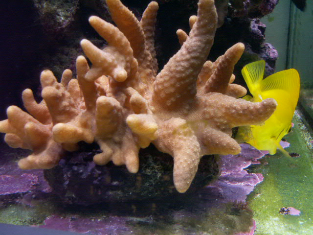 PICT0003.JPG